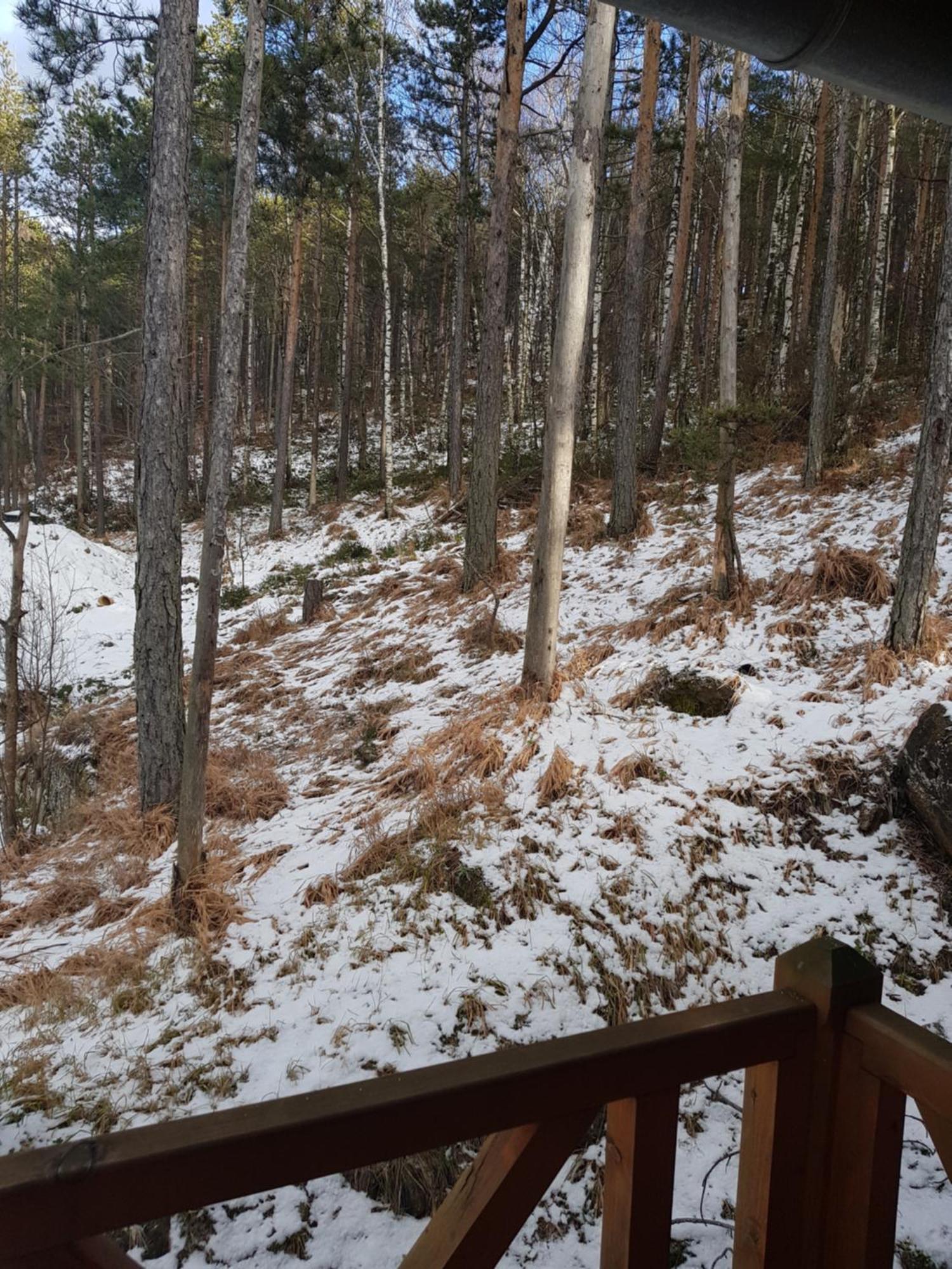 Divcibarski Konak Divčibare Buitenkant foto