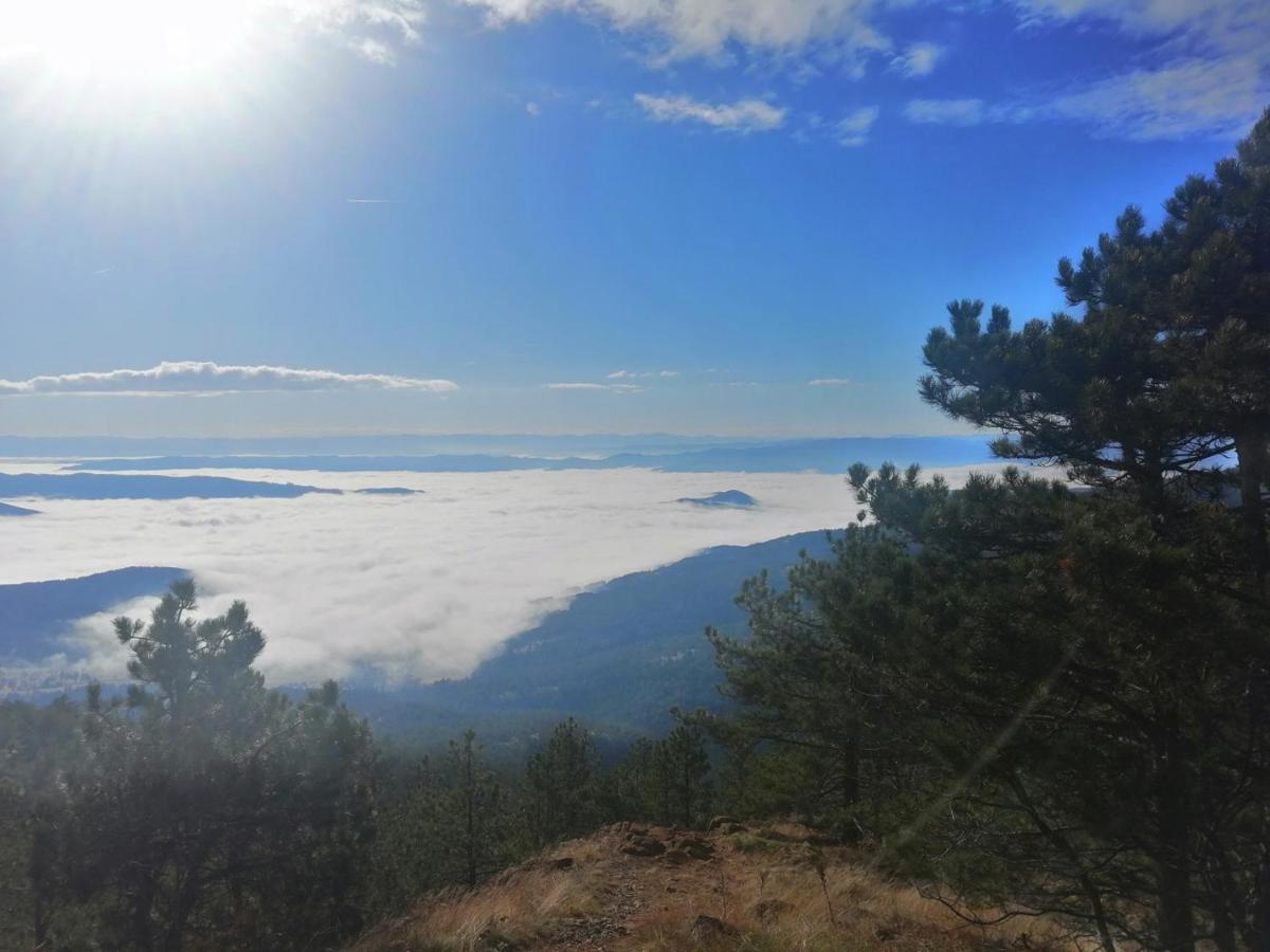 Divcibarski Konak Divčibare Buitenkant foto